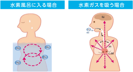 コンテンツ